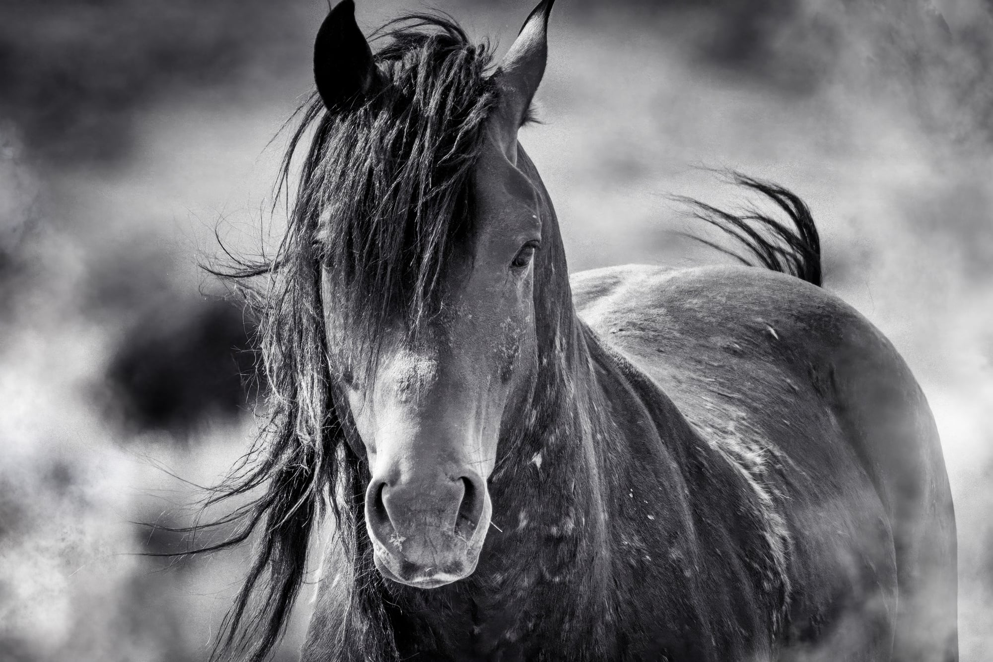 Tim West Photography