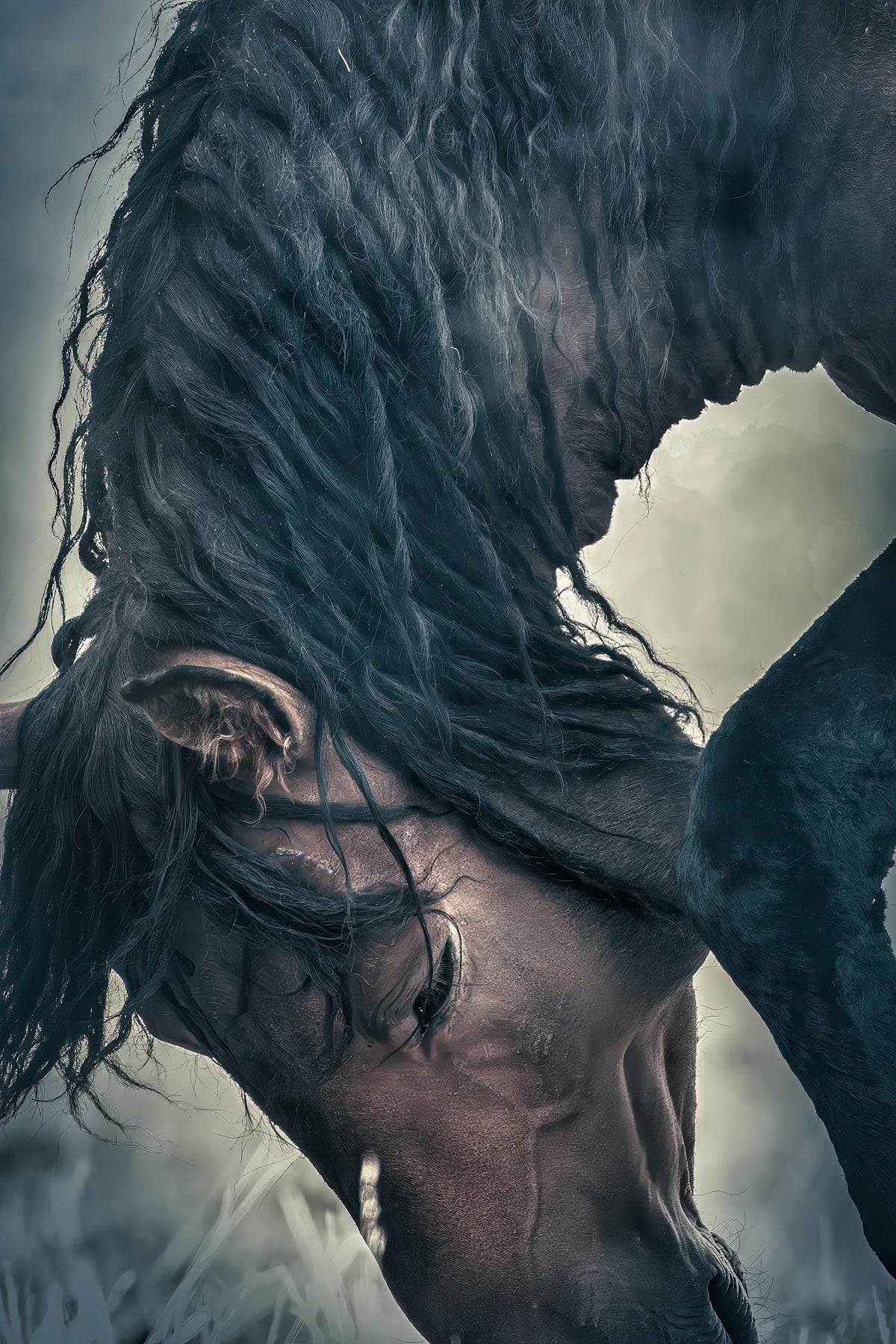 Onaqui Wanderer — wild horse photography by Tim West