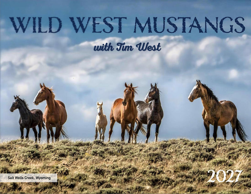 2027 Wild Horses Color Calendar — wild horse photography by Tim West