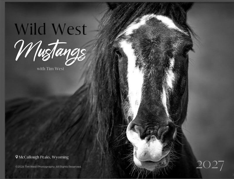 2027 Wild Horses Monochrome Calendar — wild horse photography by Tim West